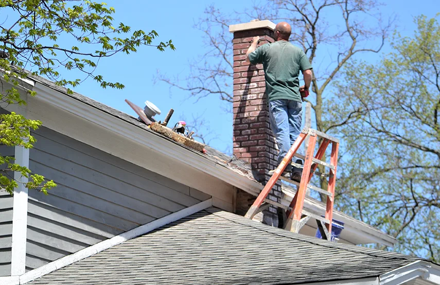 Chimney & Fireplace Inspections Services in Horn Lake, MS